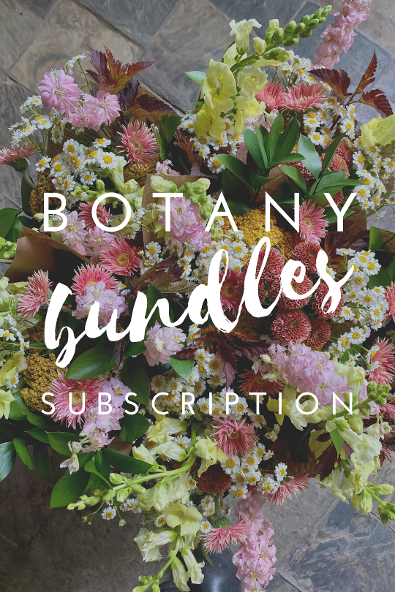 flower subscription toronto, toronto flowers, toronto subscriptions flowers, fresh flowers toronto, toronto florist