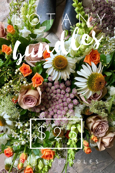 botany bundles, flowers toronto, floral delivery toronto, order flowers online toronto